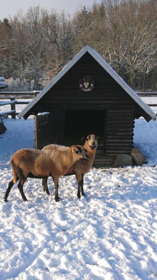Ferienhaus Rothemuhle Villa Kottmar Luaran gambar