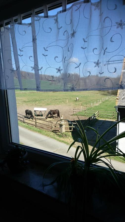 Ferienhaus Rothemuhle Villa Kottmar Luaran gambar